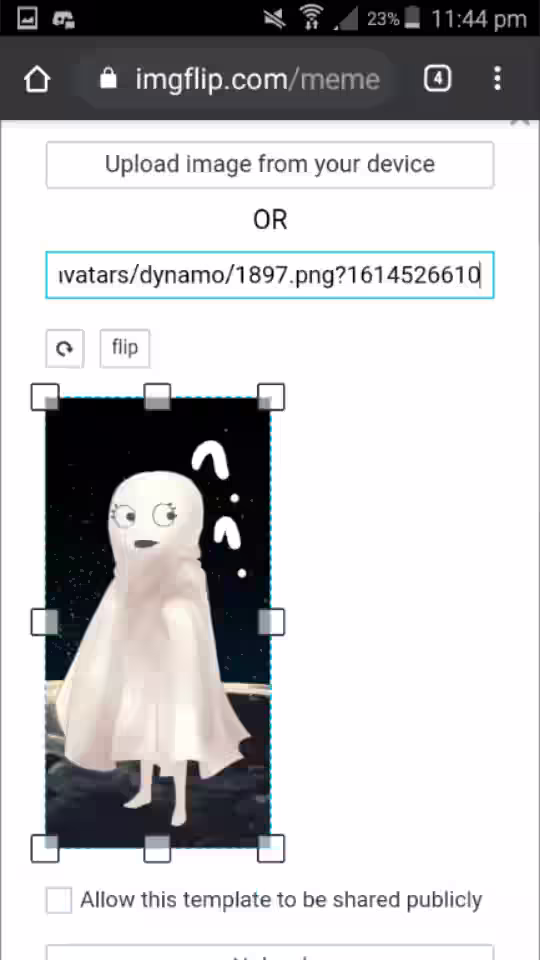 Image