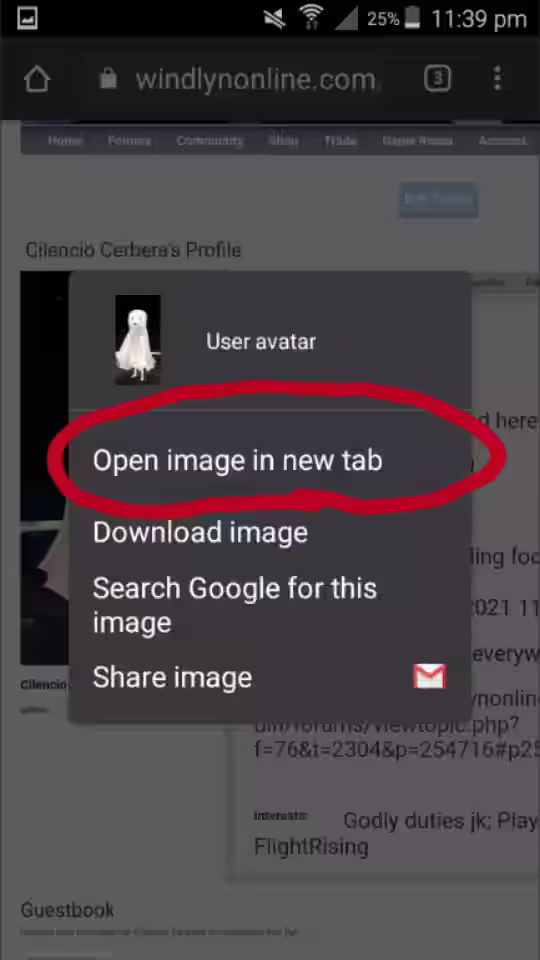 Image